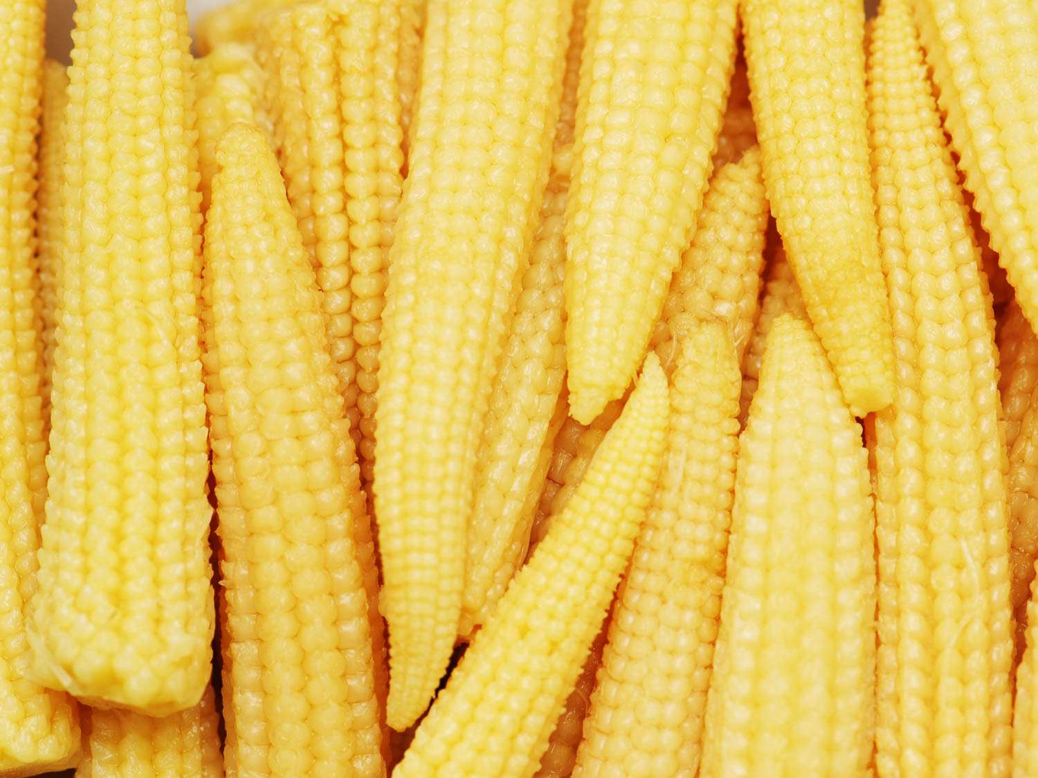 opt__aboutcom__coeus__resources__content_migration__serious_eats__seriouseats.com__images__2015__04__20150428-baby-corn-shutterstock-3-fc76c1e297c14064a0a9abf912e99da8.jpg