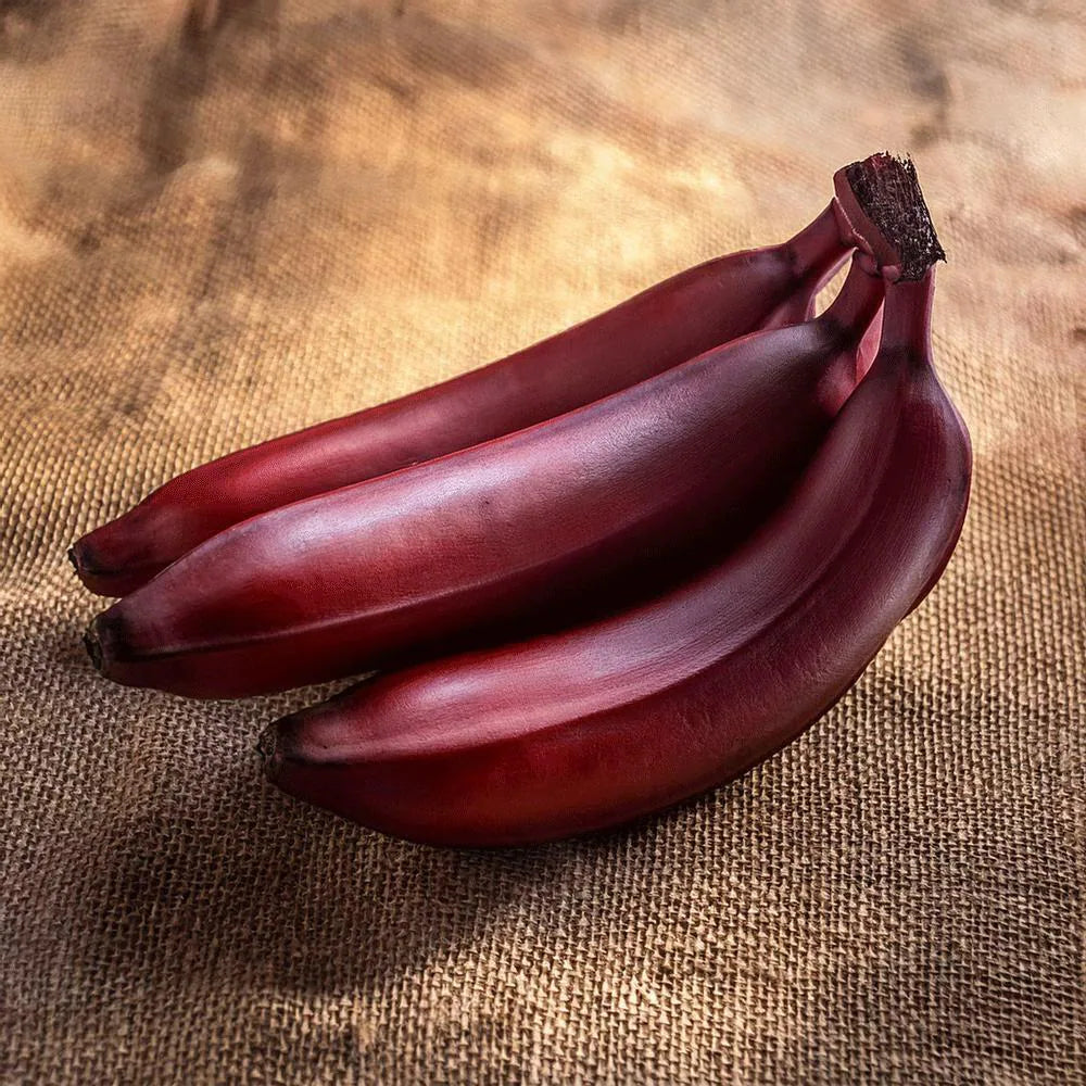 red-banana-1-kg-product-images-o590000616-p590000616-0-202412031738.webp