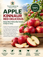 Apple (Kinnaur Red) Premium 450-500g