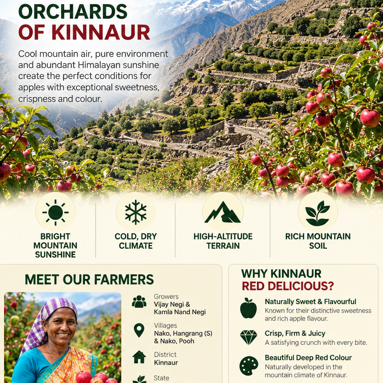 1_Kinnaur_Red_Delicious_Organic_Apples_-_Copy_-_Copy.png