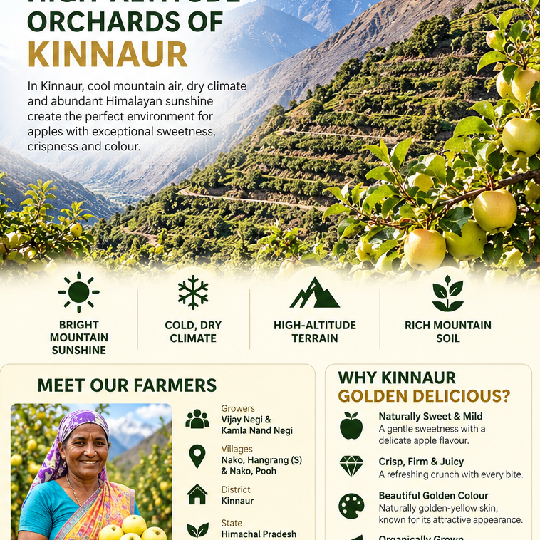 2._Kinnaur_Golden_Delicious_Apples.png