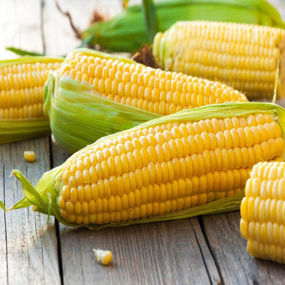 American-Sweet-Corn.webp