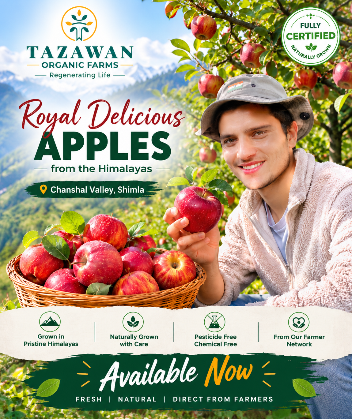 Apple Royal Delicious (Shimla) 1kg