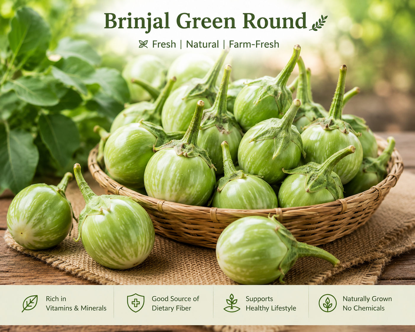 BrinjaGreenRoundchatgpt.png