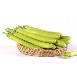 Brinjal.jpg