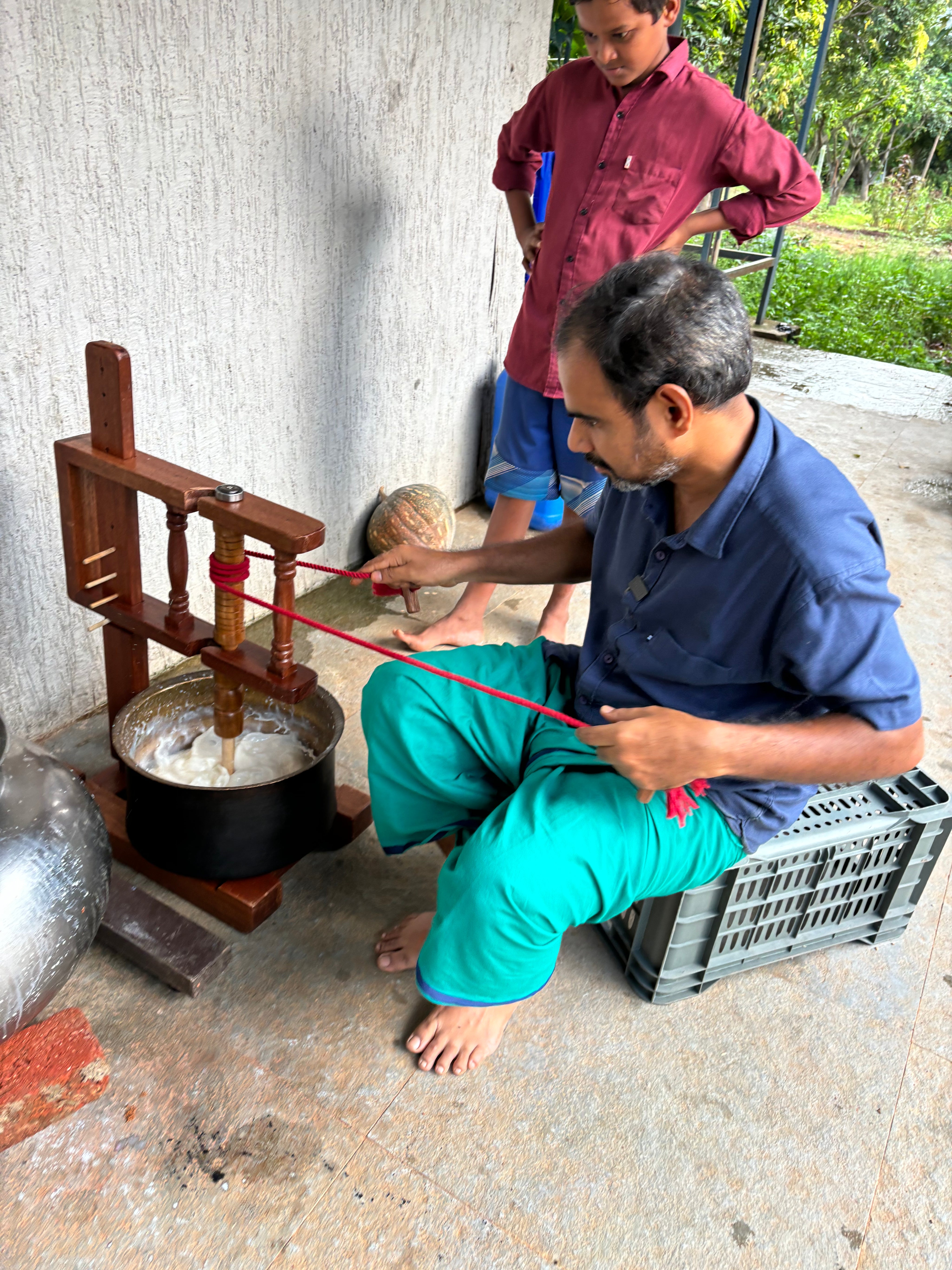 Churning Butter from Desi cow curd