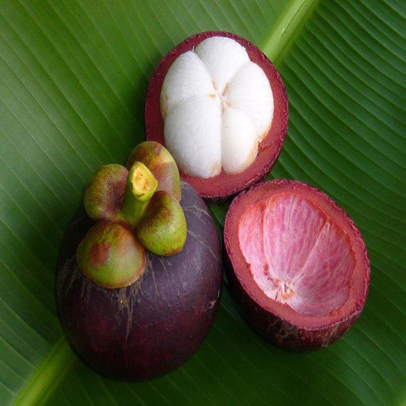 MangoSteen.jpg