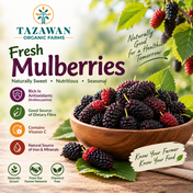 Mulberry 90 - 100gms