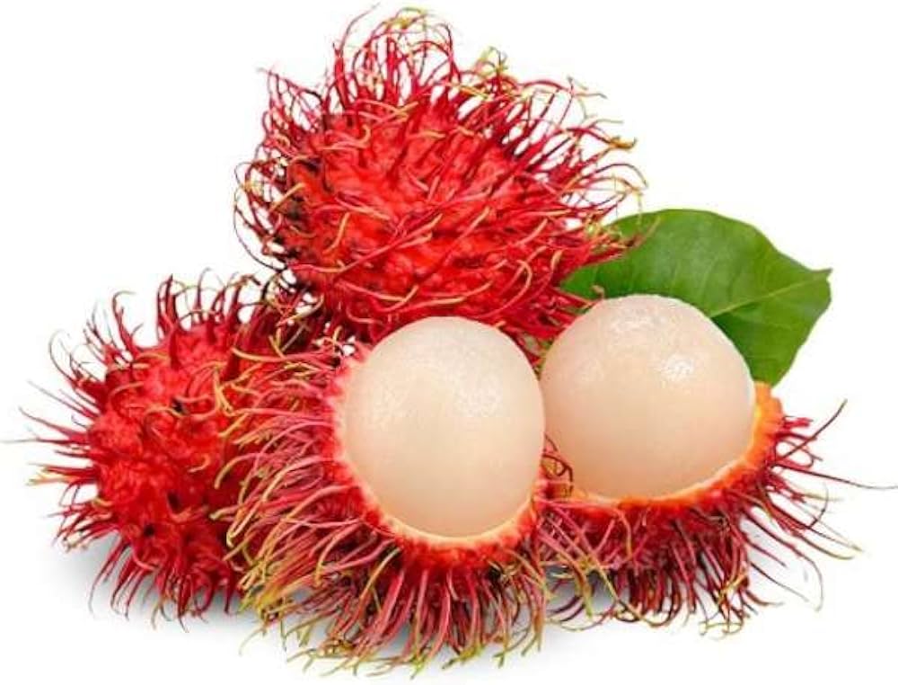 RAMBUTAN.jpg