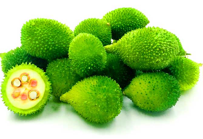 Spiny_Gourd.jpg