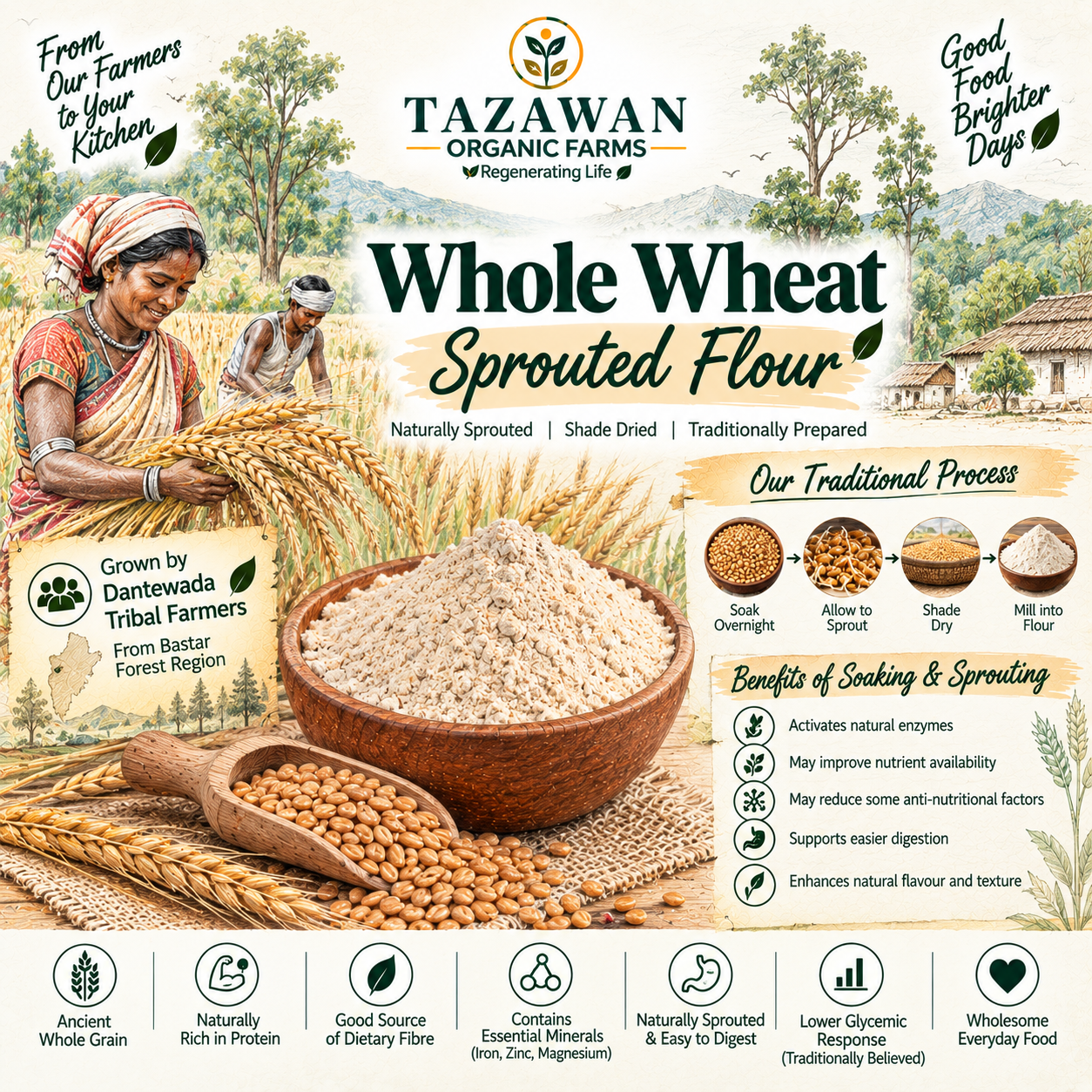 TazawanWholeWheatSproutedFlourLabel.png