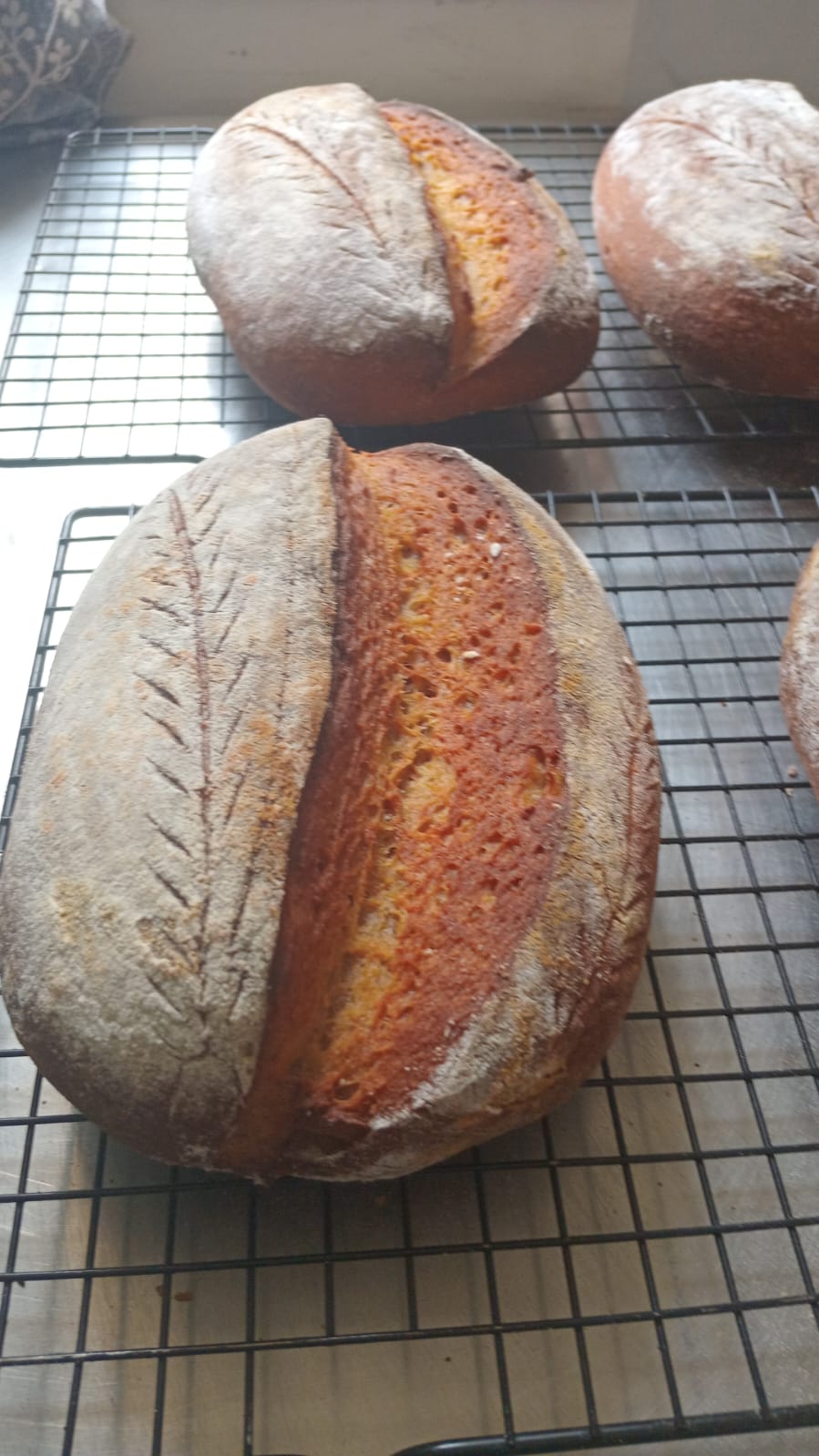 Bread (Sour Dough)