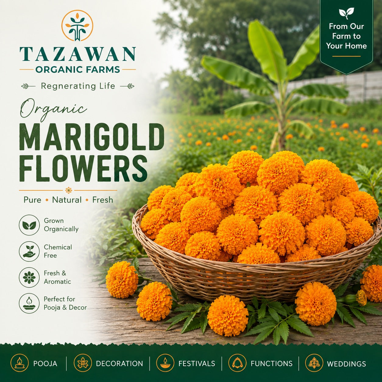 Marigold(Banthipulu) - 250g