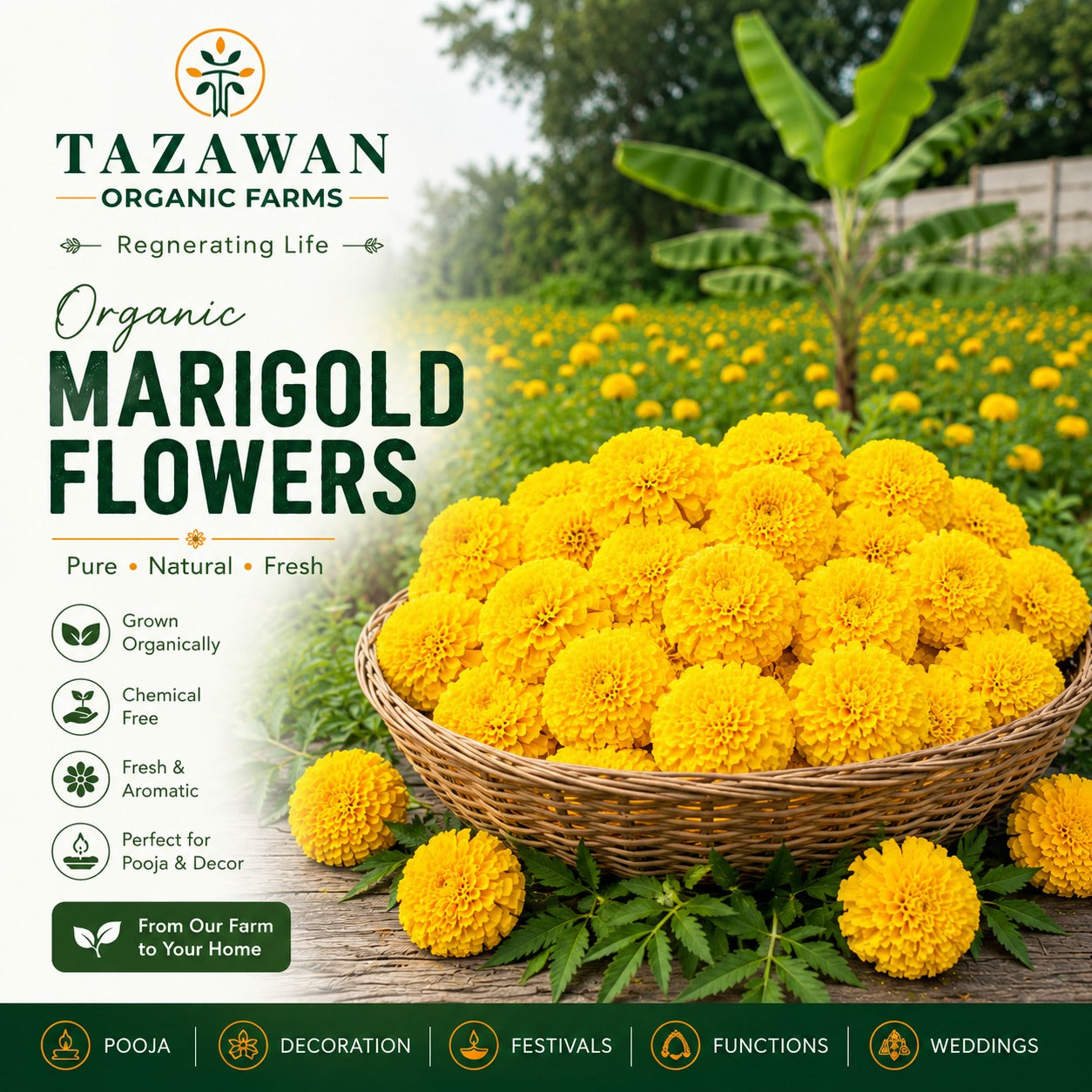 Marigold(Banthipulu) Yellow - 250g