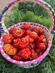 Tomato Natu (Local) 1Kg