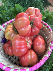 Tomato Natu (Local) 1Kg