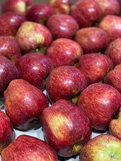 Apple Royal Delicious (Shimla)