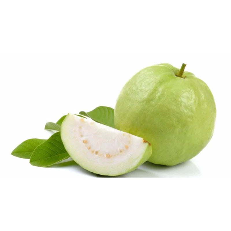 asset_19_800x_5d783224-ff5a-44d1-8cf6-47234482bae8.webp