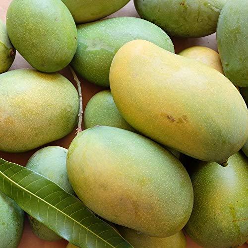 Chinna Rasalu Mango - 4Kgs