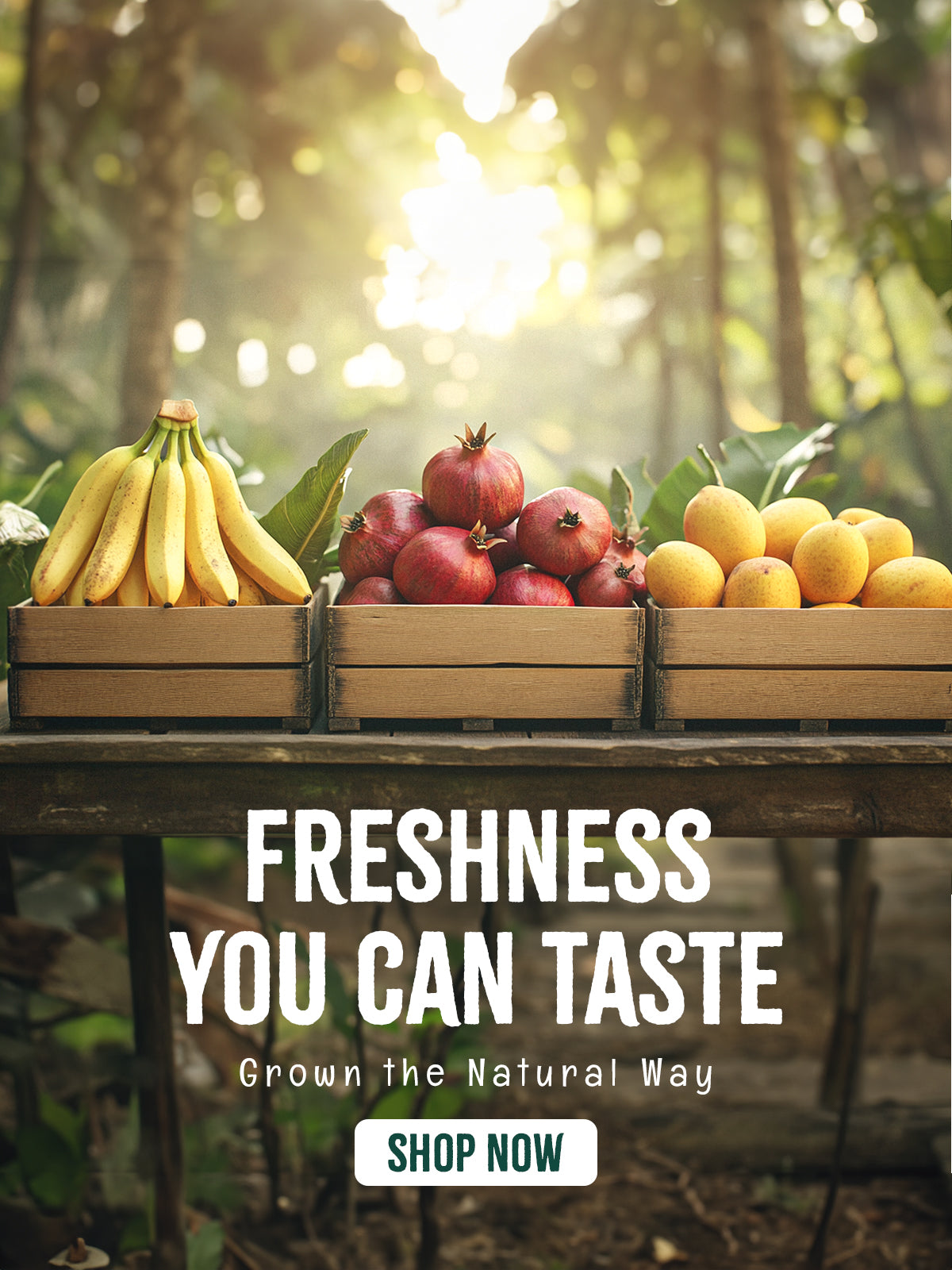 taszwan_fruits_banner_-new-mobile.jpg